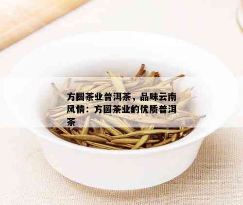 方圆茶业普洱茶，品味云南风情：方圆茶业的优质普洱茶