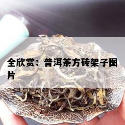 全欣赏：普洱茶方砖架子图片