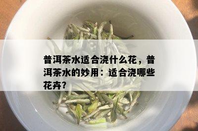 普洱茶水适合浇什么花，普洱茶水的妙用：适合浇哪些花卉？