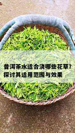 普洱茶水适合浇哪些花草？探讨其适用范围与效果