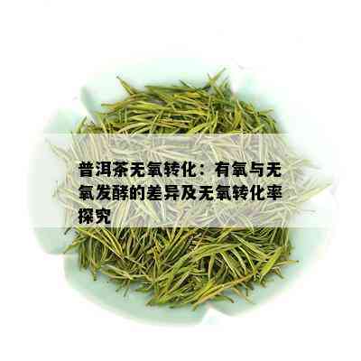 普洱茶无氧转化：有氧与无氧发酵的差异及无氧转化率探究