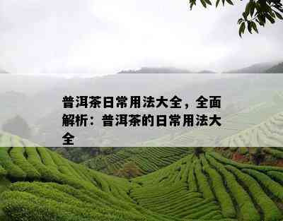 普洱茶日常用法大全，全面解析：普洱茶的日常用法大全