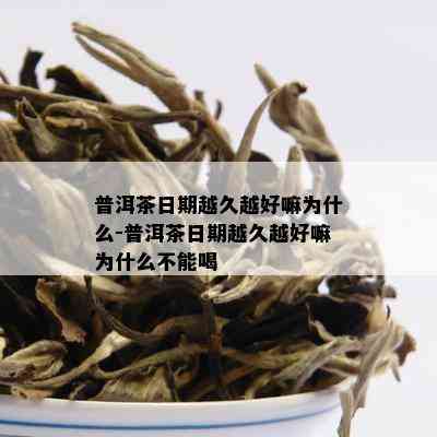 普洱茶日期越久越好嘛为什么-普洱茶日期越久越好嘛为什么不能喝