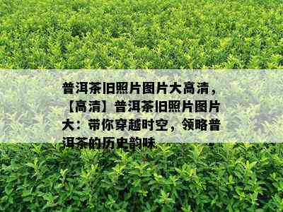 普洱茶旧照片图片大高清，【高清】普洱茶旧照片图片大：带你穿越时空，领略普洱茶的历史韵味