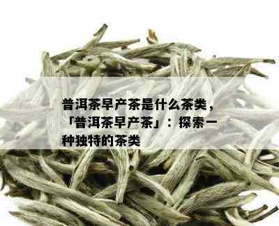 普洱茶早产茶是什么茶类，「普洱茶早产茶」：探索一种独特的茶类