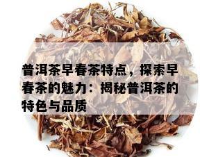 普洱茶早春茶特点，探索早春茶的魅力：揭秘普洱茶的特色与品质