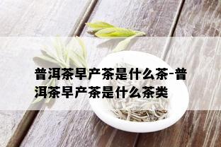 普洱茶早产茶是什么茶-普洱茶早产茶是什么茶类