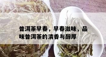 普洱茶早春，早春滋味，品味普洱茶的清香与醇厚