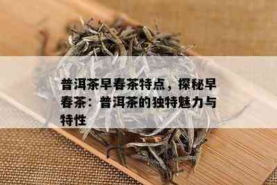 普洱茶早春茶特点，探秘早春茶：普洱茶的独特魅力与特性