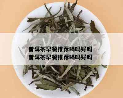 普洱茶早餐推荐喝吗好吗-普洱茶早餐推荐喝吗好吗