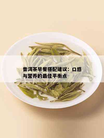 普洱茶早餐搭配建议：口感与营养的更佳平衡点