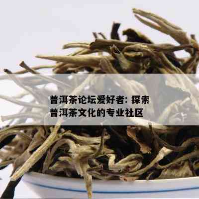 普洱茶论坛爱好者: 探索普洱茶文化的专业社区