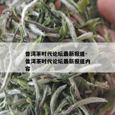 普洱茶时代论坛最新报道-普洱茶时代论坛最新报道内容