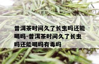 普洱茶时间久了长虫吗还能喝吗-普洱茶时间久了长虫吗还能喝吗有吗