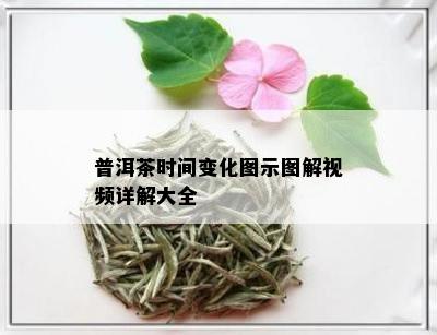 普洱茶时间变化图示图解视频详解大全