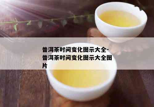 普洱茶时间变化图示大全-普洱茶时间变化图示大全图片