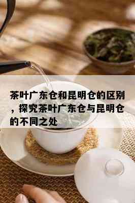 茶叶广东仓和昆明仓的区别，探究茶叶广东仓与昆明仓的不同之处