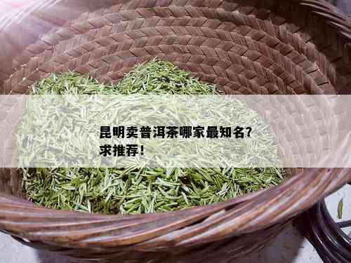 昆明卖普洱茶哪家最知名？求推荐！