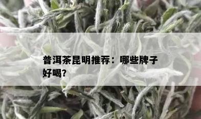 普洱茶昆明推荐：哪些牌子好喝？