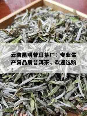 云南昆明普洱茶厂：专业生产高品质普洱茶，欢迎选购！