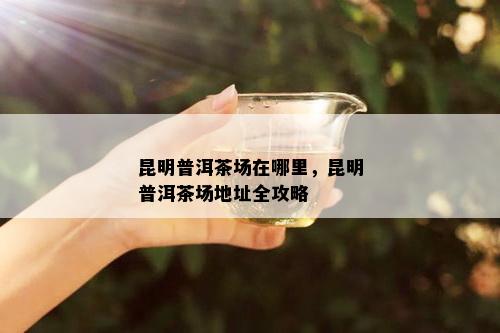 昆明普洱茶场在哪里，昆明普洱茶场地址全攻略