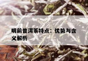 明前普洱茶特点：优势与含义解析