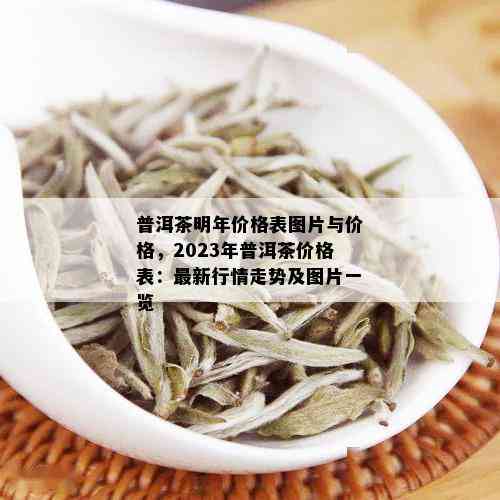 普洱茶明年价格表图片与价格，2023年普洱茶价格表：最新行情走势及图片一览