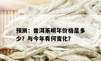 预测：普洱茶明年价格是多少？与今年有何变化？