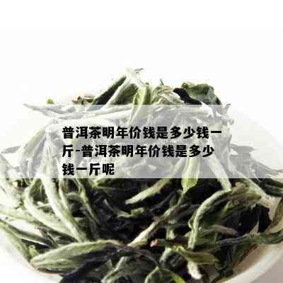 普洱茶明年价钱是多少钱一斤-普洱茶明年价钱是多少钱一斤呢