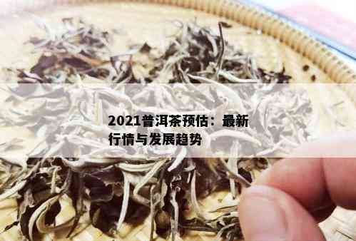 2021普洱茶预估：最新行情与发展趋势