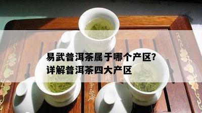 易武普洱茶属于哪个产区？详解普洱茶四大产区