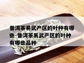 普洱茶易武产区的叶种有哪些-普洱茶易武产区的叶种有哪些品种