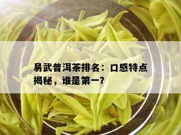 易武普洱茶排名：口感特点揭秘，谁是之一？