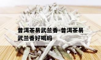 普洱茶易武兰香-普洱茶易武兰香好喝吗