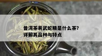 普洱茶易武蛇精是什么茶？详解其品种与特点