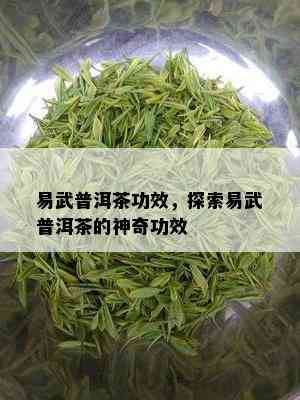 易武普洱茶功效，探索易武普洱茶的神奇功效