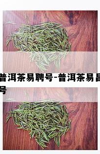 普洱茶易聘号-普洱茶易昌号