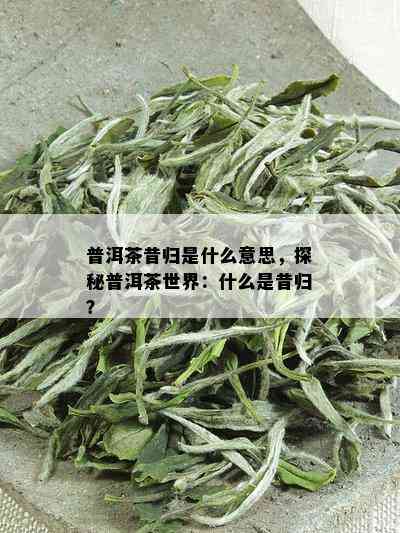 普洱茶昔归是什么意思，探秘普洱茶世界：什么是昔归？