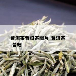 普洱茶昔归茶图片-普洱茶 昔归