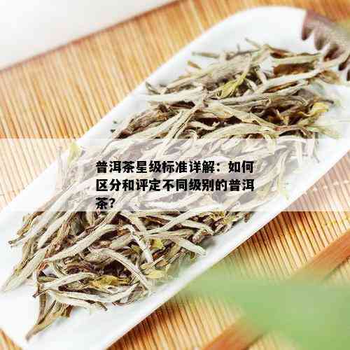 普洱茶星级标准详解：如何区分和评定不同级别的普洱茶?