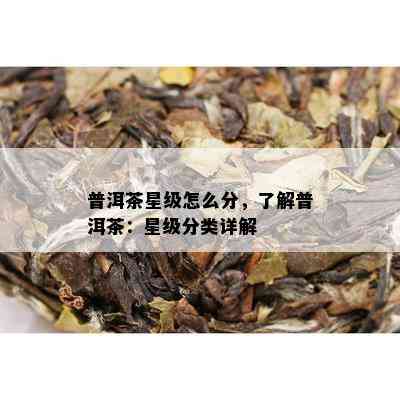 普洱茶星级怎么分，了解普洱茶：星级分类详解