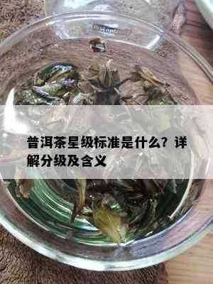 普洱茶星级标准是什么？详解分级及含义