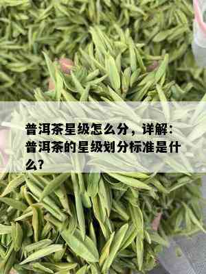 普洱茶星级怎么分，详解：普洱茶的星级划分标准是什么？