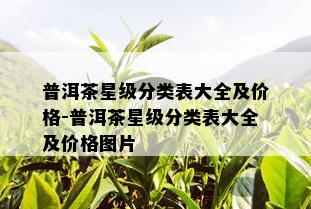 普洱茶星级分类表大全及价格-普洱茶星级分类表大全及价格图片