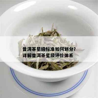 普洱茶星级标准如何划分？详解普洱茶星级评价体系