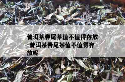 普洱茶春尾茶值不值得存放-普洱茶春尾茶值不值得存放呢