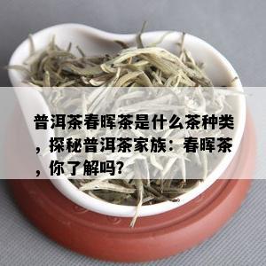 普洱茶春晖茶是什么茶种类，探秘普洱茶家族：春晖茶，你了解吗？