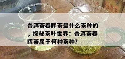 普洱茶春晖茶是什么茶种的，探秘茶叶世界：普洱茶春晖茶属于何种茶种？