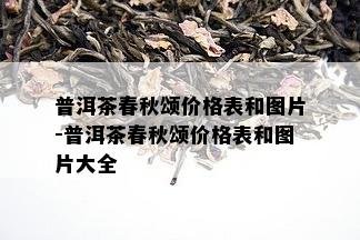 普洱茶春秋颂价格表和图片-普洱茶春秋颂价格表和图片大全