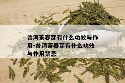 普洱茶春芽有什么功效与作用-普洱茶春芽有什么功效与作用禁忌